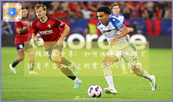 一线玩家分享:如何快速解决悟空体育平台入口上的常见BUG与问题